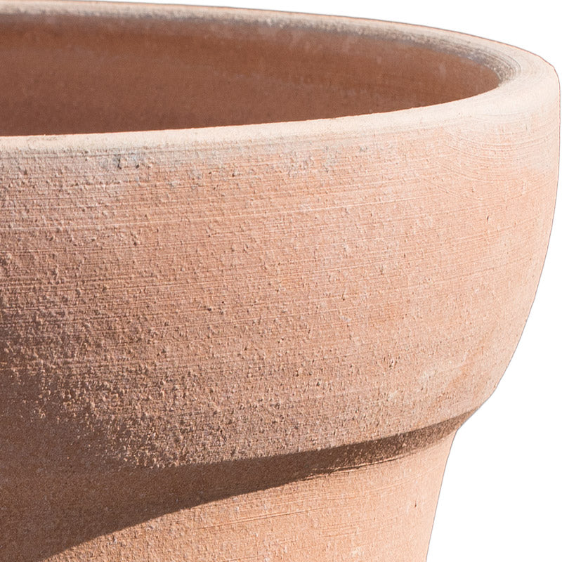 Sakkara